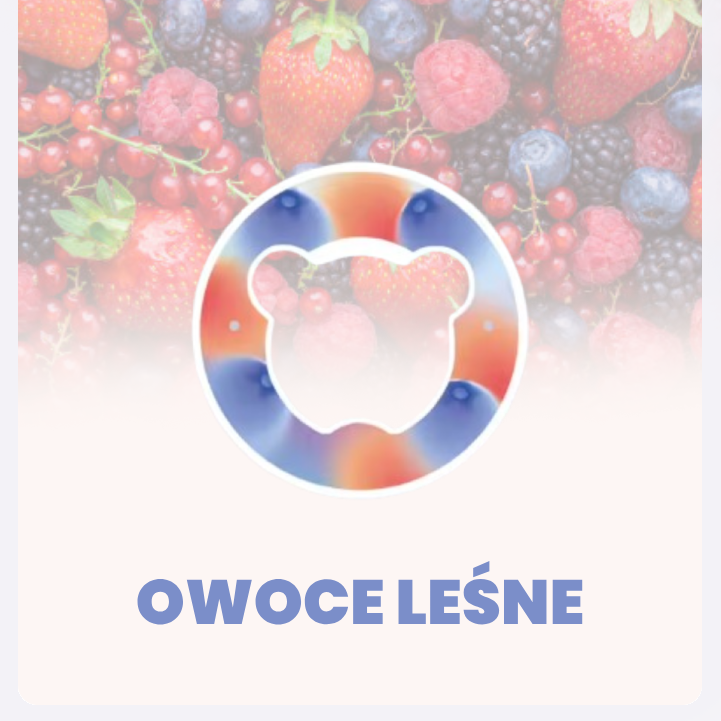 POD SMAKOWY – SMAK OWOCE LEŚNE